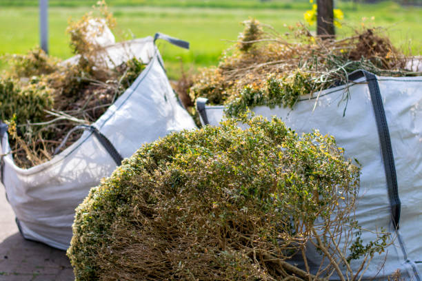 Best Local Junk Hauling  in Las Vegas, NM