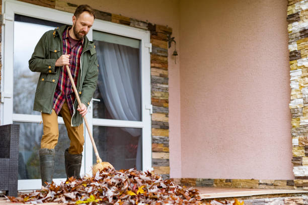 Basement Cleanout Services in Las Vegas, NM